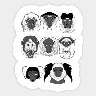 Primates Sticker